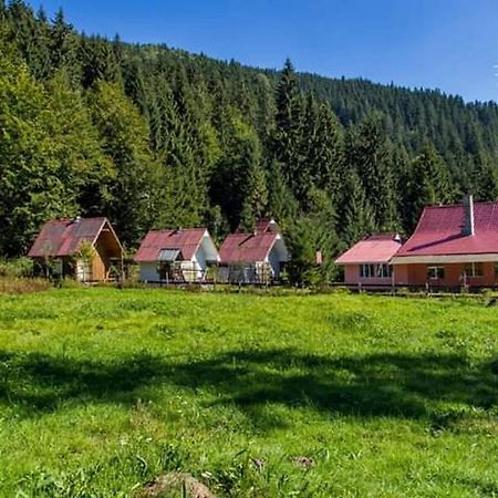 Cabana Valea Stanciului Rachitele Exteriér fotografie
