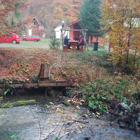 Cabana Valea Stanciului Rachitele Exteriér fotografie