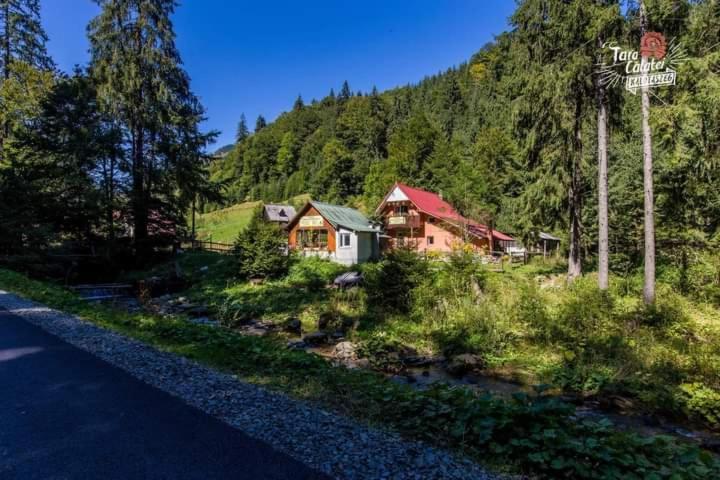 Cabana Valea Stanciului Rachitele Exteriér fotografie