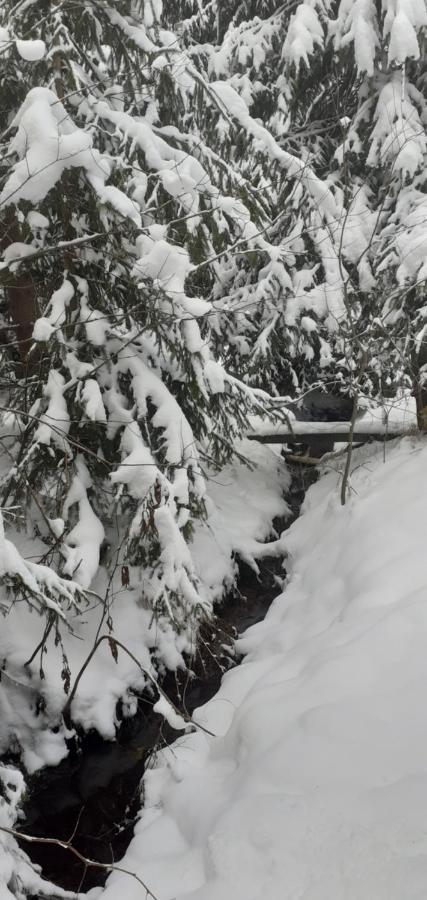 Cabana Valea Stanciului Rachitele Exteriér fotografie