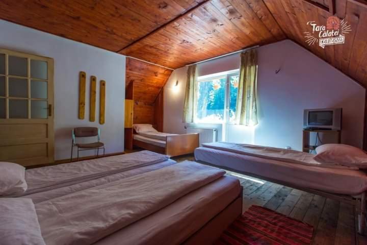 Cabana Valea Stanciului Rachitele Exteriér fotografie