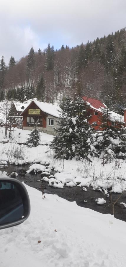 Cabana Valea Stanciului Rachitele Exteriér fotografie