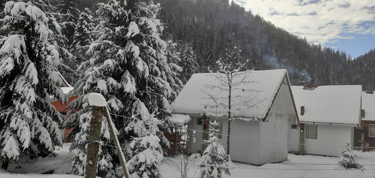 Cabana Valea Stanciului Rachitele Exteriér fotografie