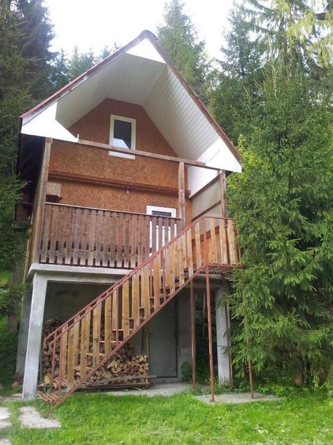 Cabana Valea Stanciului Rachitele Exteriér fotografie