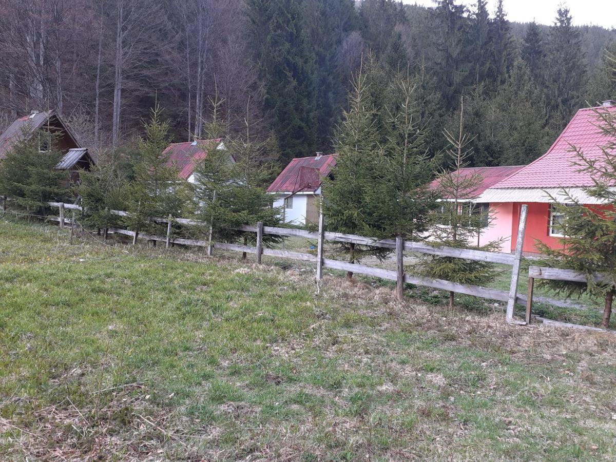 Cabana Valea Stanciului Rachitele Exteriér fotografie