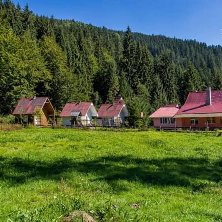 Cabana Valea Stanciului Rachitele Exteriér fotografie