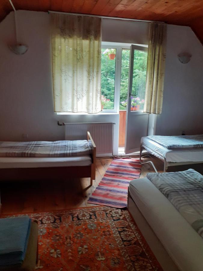 Cabana Valea Stanciului Rachitele Exteriér fotografie