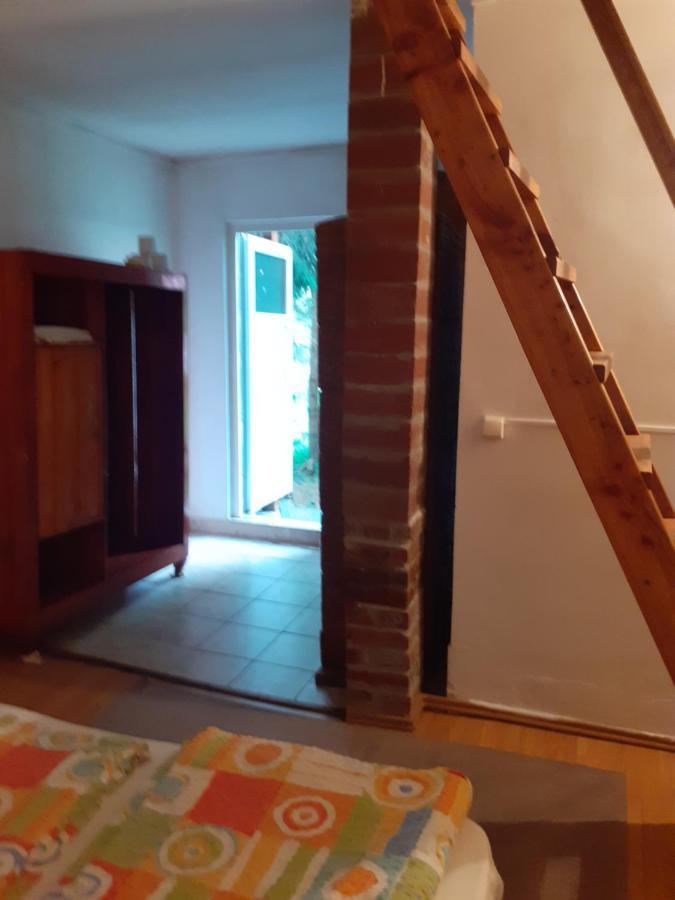 Cabana Valea Stanciului Rachitele Exteriér fotografie