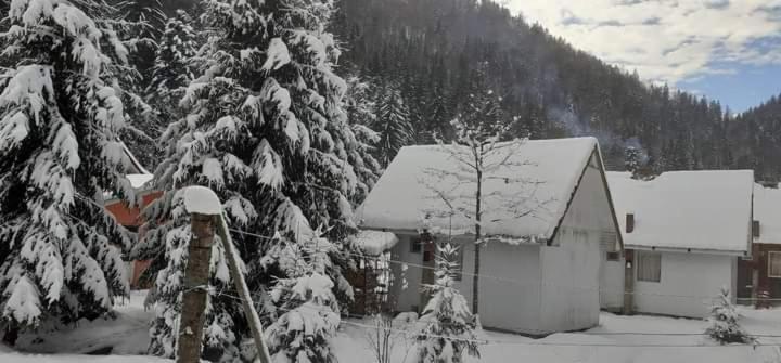 Cabana Valea Stanciului Rachitele Exteriér fotografie