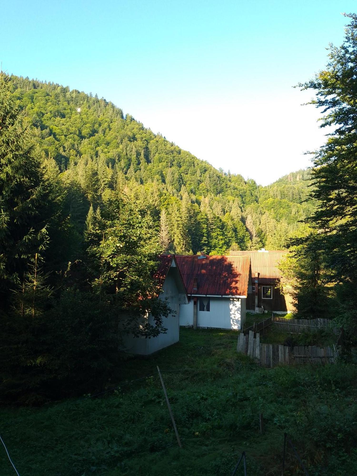 Cabana Valea Stanciului Rachitele Exteriér fotografie