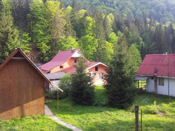 Cabana Valea Stanciului Rachitele Exteriér fotografie